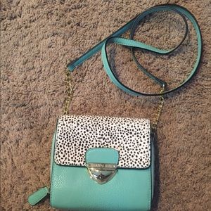 Cute turquoise purse
